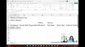 FIN101 Liebenberg - Module 2 - Textbook Project Video Tutorial