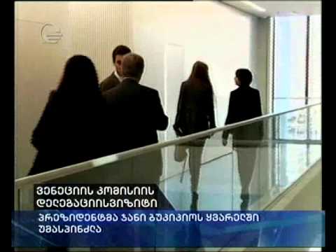 ვენეციის კომისიის დელეგაციის ვიზიტი