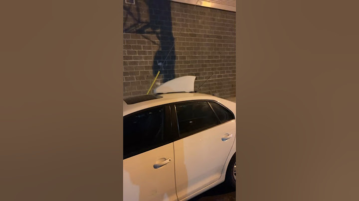 Shark-Fin On Your Car But No Wing? Why? #car #funnyvideo
