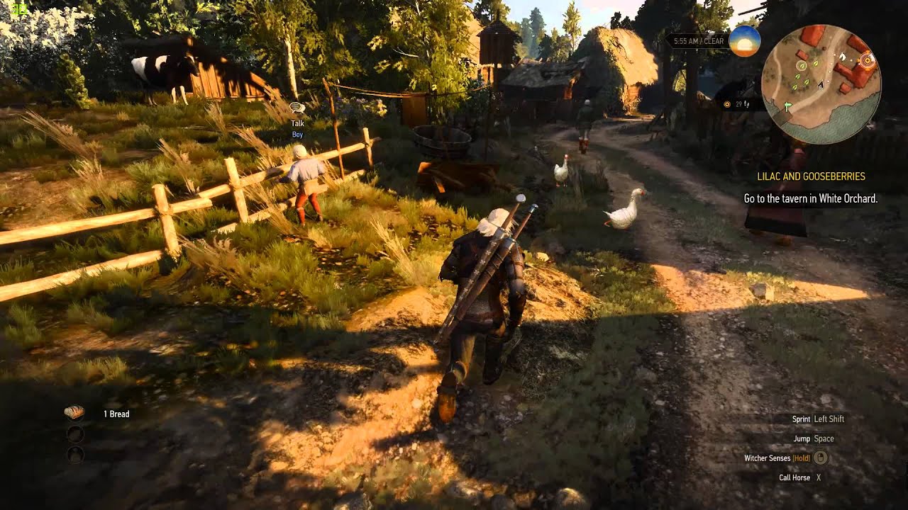 Witcher 3 Medium Settings 30 fps