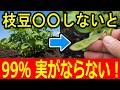 枝豆の実がスカスカになる原因はコレ！さやはできるのに豆が入らない人の共通点【家庭菜園】