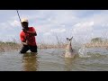 incridable fishing 🎣 || catching big Redbilled fishes || like a phirans ||😱 Hook fishing