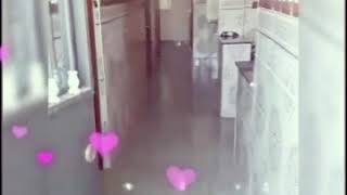 Had Dar Dlkra Libgha Ykri Marhbabih Jat Blyonich Odar Jdiida Olkra Taman Mounasib