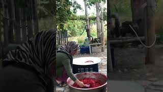 Dilekin Hayatı Kıma Destek