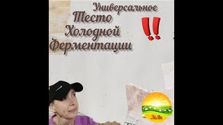 Универсальное тесто холодной Ферментации для хлеба : Тартин,  Багет, Чиабатта, Пицца /Часть 1