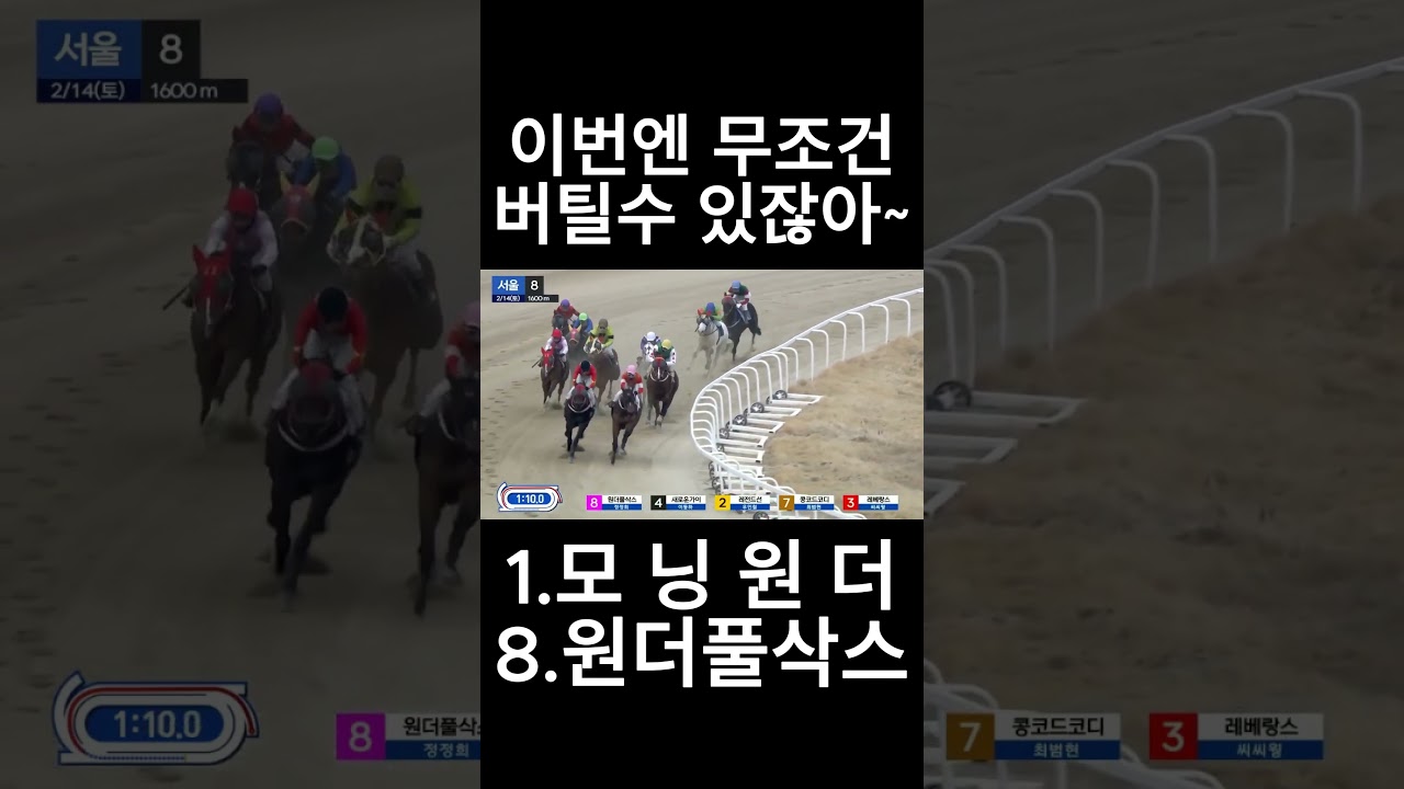 이번엔 버틸수있잖아 ~ #경마  #경마예상  #경마방송  #경마예상방송  #서울경마  #금요경마  #토요경마  #일요경마 #경마장