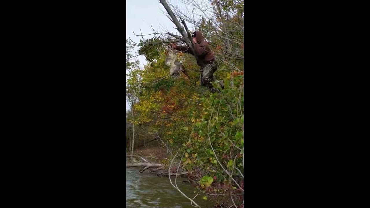 Animal rescue: An owl with fishing line wrapped around its wing. 