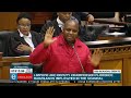 Floyd Shivambu addresses parliament