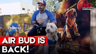 Dogs & Owners Gather In LA For Special 'Air Bud' Screening! | Entertainment News