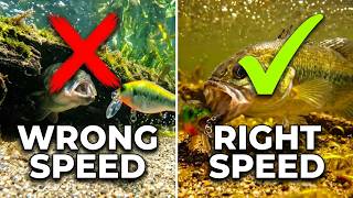 The 3 lure speed mistakes that make you lose fish while fishing