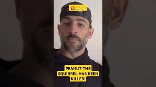 PEANUT THE SQUIRREL IS DEAD!!! Democrats DESTROYED PEANUT! 😢😢😢#peanut #donaldtrumpnews