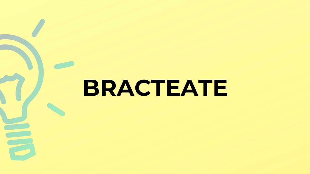 What is the meaning of the word BRACTEATE?