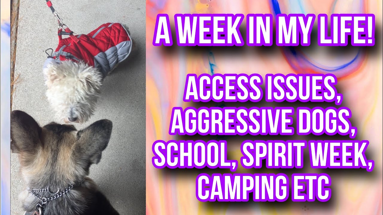 A week in our life (school, extreme access issue, aggressive dogs