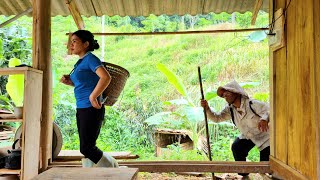 Caring for the Garden and Fish Pond, Stolen Food on the Farm