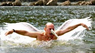 Журавлиный полёт Путина.
