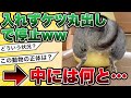 【2ch動物面白スレ】ケツ丸出しだけど何の動物や?w