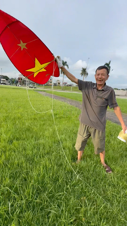 Go kite flying and meet a 70 year old artisan who makes super cool tailless kites..#kite #layanga...