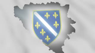 JA SIN SAM TVOJ ZEMLJO (Bosnian war song)