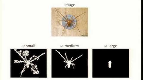 Enforcing topological constraints in energy-based image segmentation