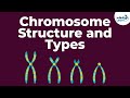 Genetics - Chromosome Structure and Types - Lesson 18 | Don't Memorise