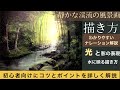 静かな渓流の風景画の描き方/ナレーション解説付き/木、水面、岩の描き方/landscape painting tutorial/Acrylic