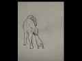 Funny Drawing Shorts 🤣। Part: 2😂 #shorts #drawing