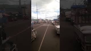 Pili Camarines Sur