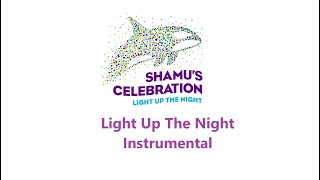 Light Up The Night - Light Up The Night (Instrumental)