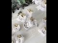 علب دراجي وبوقالات