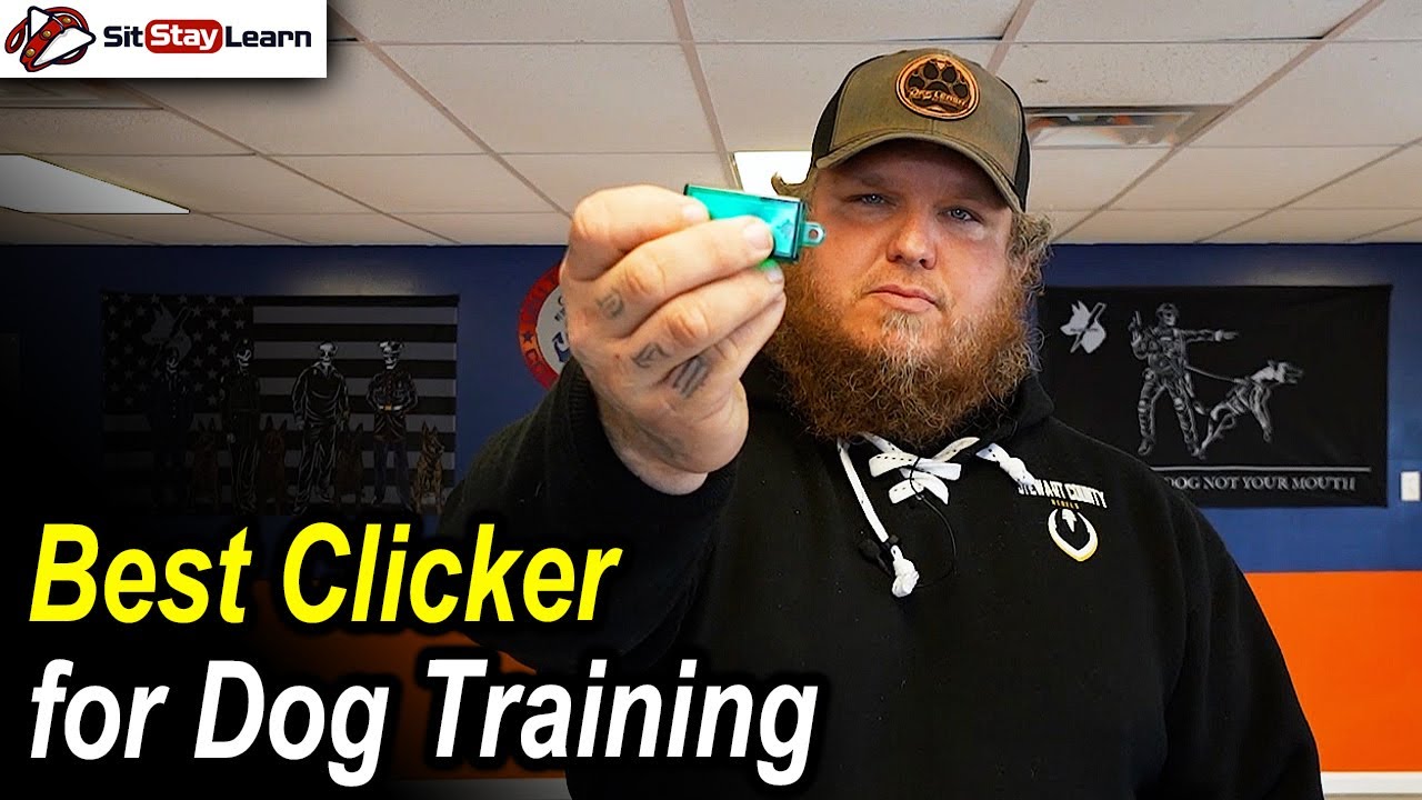 Best Clicker for Clicker Training Your Dog - YouTube