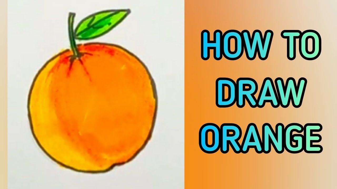 How to draw Orange | Draw and Colour Orange - YouTube