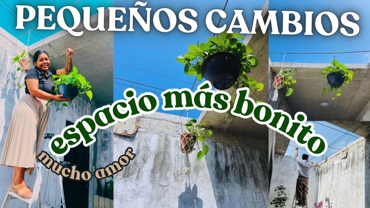 ✨PEQUEÑOS CAMBIOS EN Mi hogar 🏡 Espacio más bonito 👌 Naturaleza ☘️🪴renovación sin obra⚒️