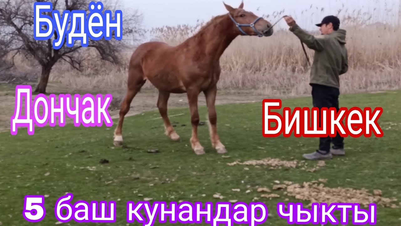 10-март Бишкектен жакшы кунандар чыкты