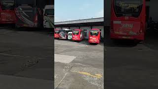 Joss!!! deretan bus Trans Jateng di dalam Terminal Bawen Semarang #short       #bus #terminal