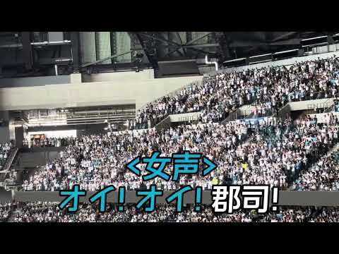 【北海道日本ハムファイターズ】チャンステーマ「酔いどれマーチ」