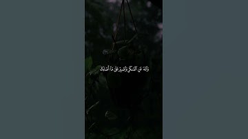 قرآن كريم 🤍 #اكسبلور #استغفرالله #راحة_نفسية #لايك #راحه_نفسيه #حالات_واتس #تيك_توك