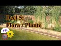 Groen Poel Natuurlike Swembad, Deel 5: Flora / Plante