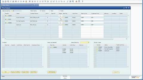 Plus One RFQ | SAP Business One