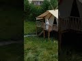 Утро в глэмпинге Айвенго
