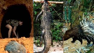 一次看爽之9分妹子獨自荒野生存280天，全能美女抓野豬掏豪豬鬥鱷魚挖竹鼠，下河捕魚上山打野！