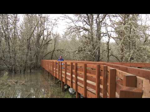 Vídeo: Destinacions de vacances familiars a Oregon