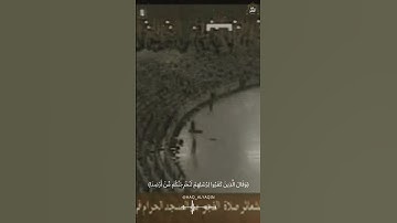 وقال الذين كفروا لرسلهم لنخرجنكم من أرضنا تلاوة قديمة للشريم