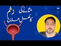Urinary Tract Infection مثانے کی زخم کا مکمل علاج UTI Treatment By Dr Farid Gul