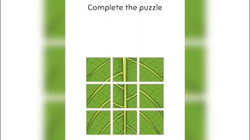 Im Not a robot brain test level 18 Walkthrough Solution 