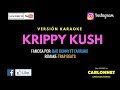 Krippy Kush - Bad Bunny ft Farruko (Karaoke)