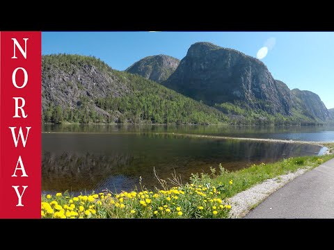 Video: Road Trip-apper Som Vil Gjøre Din Neste Reise Mer Episk