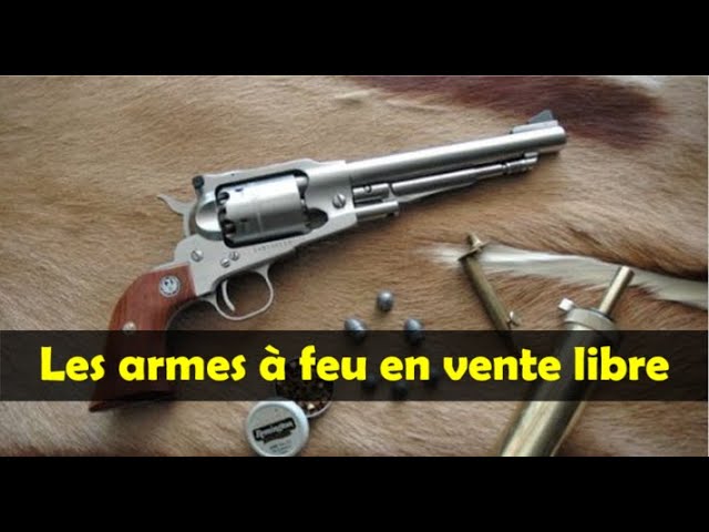 Les armes à feu en vente libre en France, les armes à poudre noire