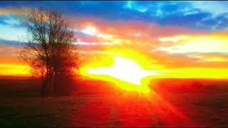 Chillout Playlist