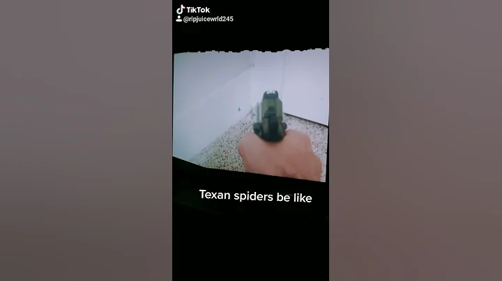 Texan spiders be like