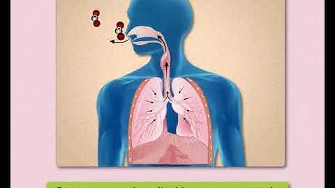 Our Environment  : SundaramEclass Science concepts (5-6 grade)